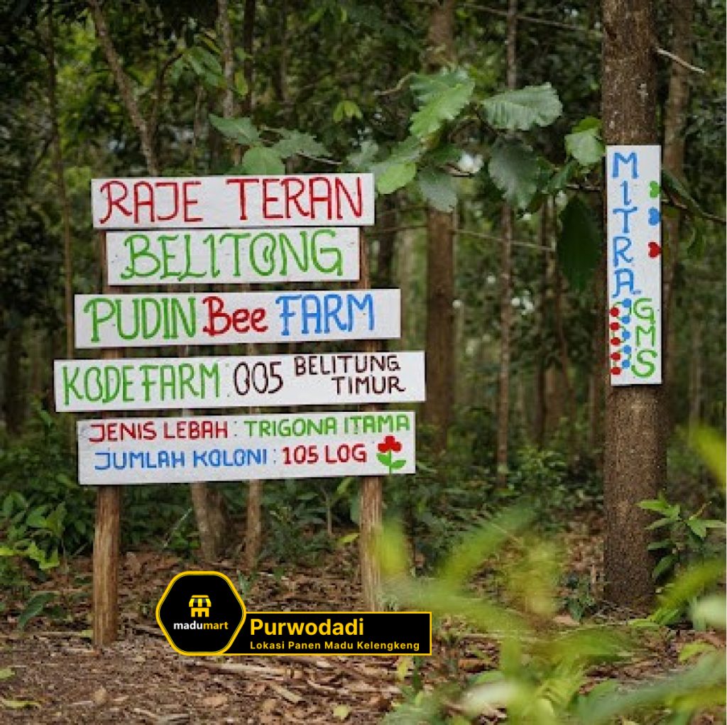 Lokasi Ternak Madu Kelengkeng
