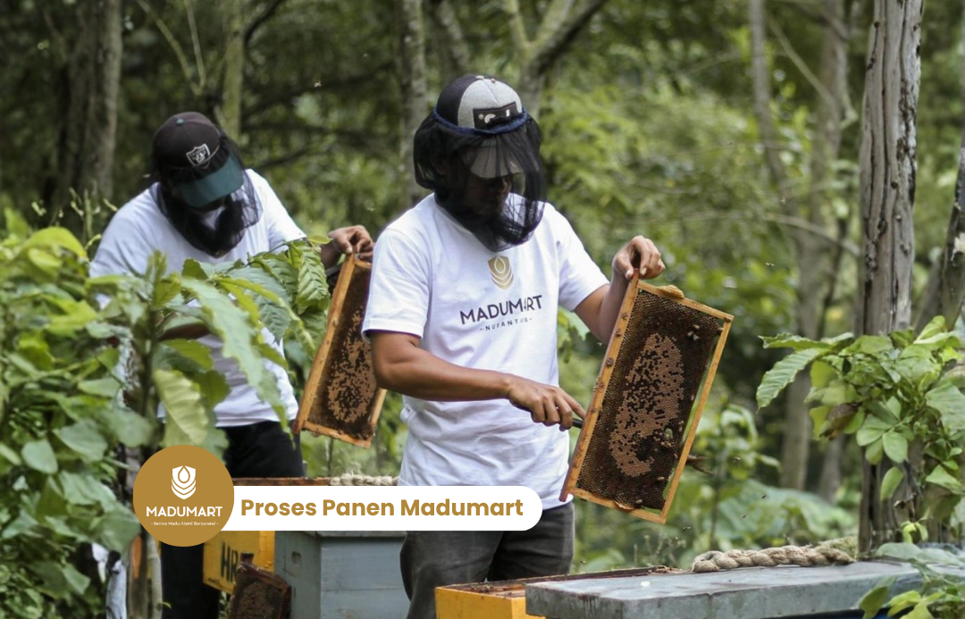 FEED MADUMART 4